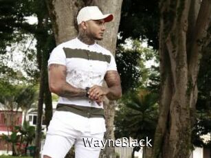 WayneBlack