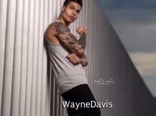 WayneDavis
