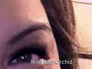 WildDutchOrchid