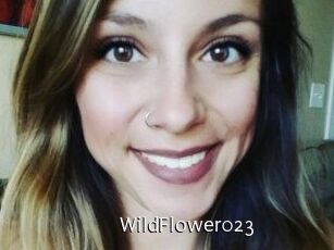 WildFlower023