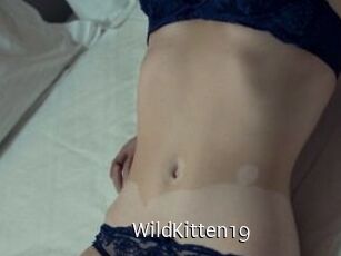 Wild_Kitten19