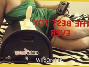 WildOrchid_