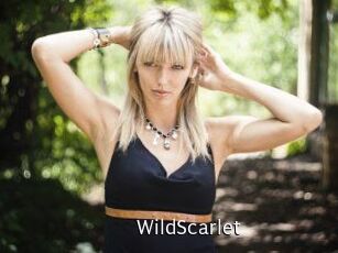 WildScarlet