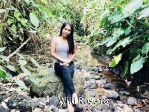 Wild_Rose18