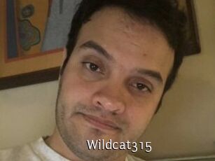 Wildcat315