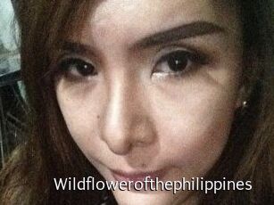 Wildflowerofthephilippines