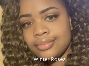 Winter_Rosea