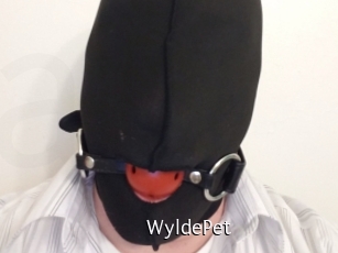 WyldePet Anal Fist