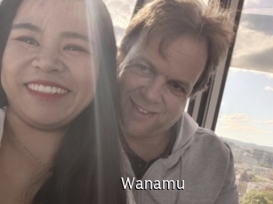 wanamu Anal Fist