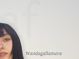 Wandagallamore