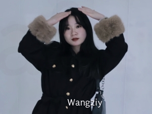 Wangziy