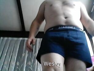 wesley Anal Fist