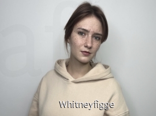 Whitneyfigge
