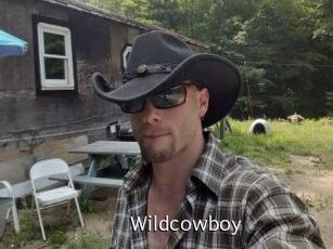 Wildcowboy