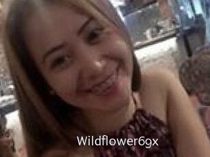 Wildflower69x