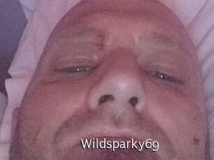 Wildsparky69