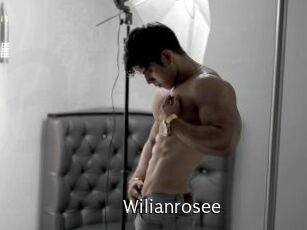 Wilianrosee