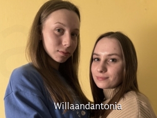 Willaandantonia