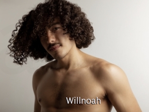 willnoah Anal Fist