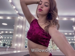 willowdior Anal Fist