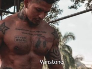 winstone Anal Fist