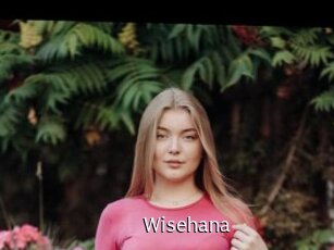 wisehana Anal Fist