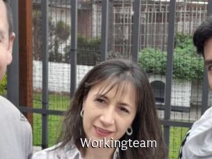 Workingteam