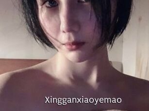 Xingganxiaoyemao