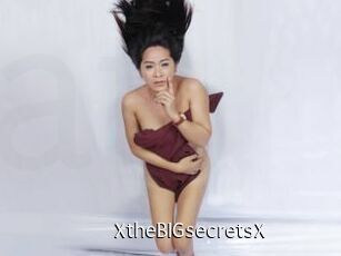 XtheBIGsecretsX