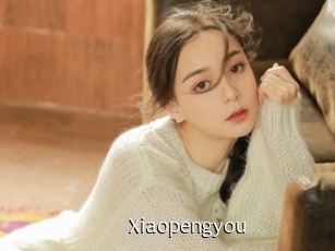 Xiaopengyou