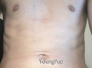 YoungPup