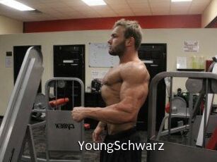 YoungSchwarz