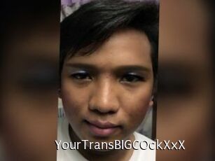 YourTransBIGCOckXxX