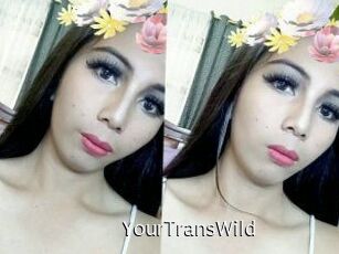 YourTransWild