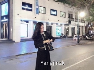 Yangjin2k