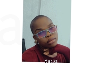 Yario