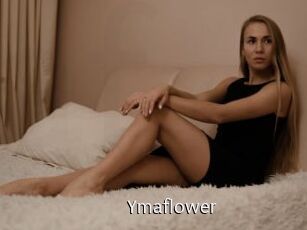 Ymaflower