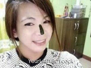 YourLADYBOYcock