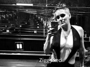 ZiggyRed