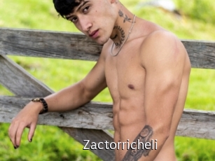 zactorricheli Anal Fist