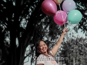 Zattinmartin
