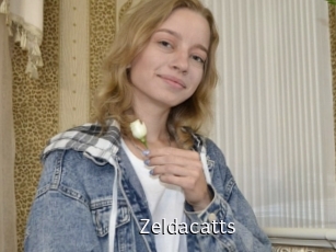 Zeldacatts