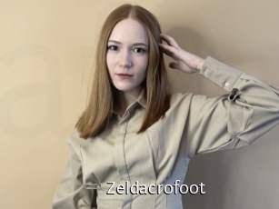 zeldacrofoot Anal Fist