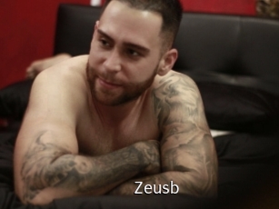 zeusb Anal Fist