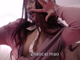 Zhaocai_mao