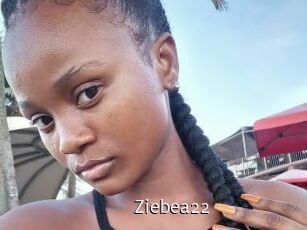 Ziebea22