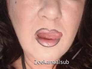 Zoekanaalsub
