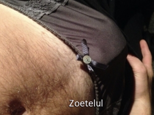 zoetelul Anal Fist